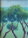 Pine trees, Bandol